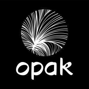 Opak Salon Design
