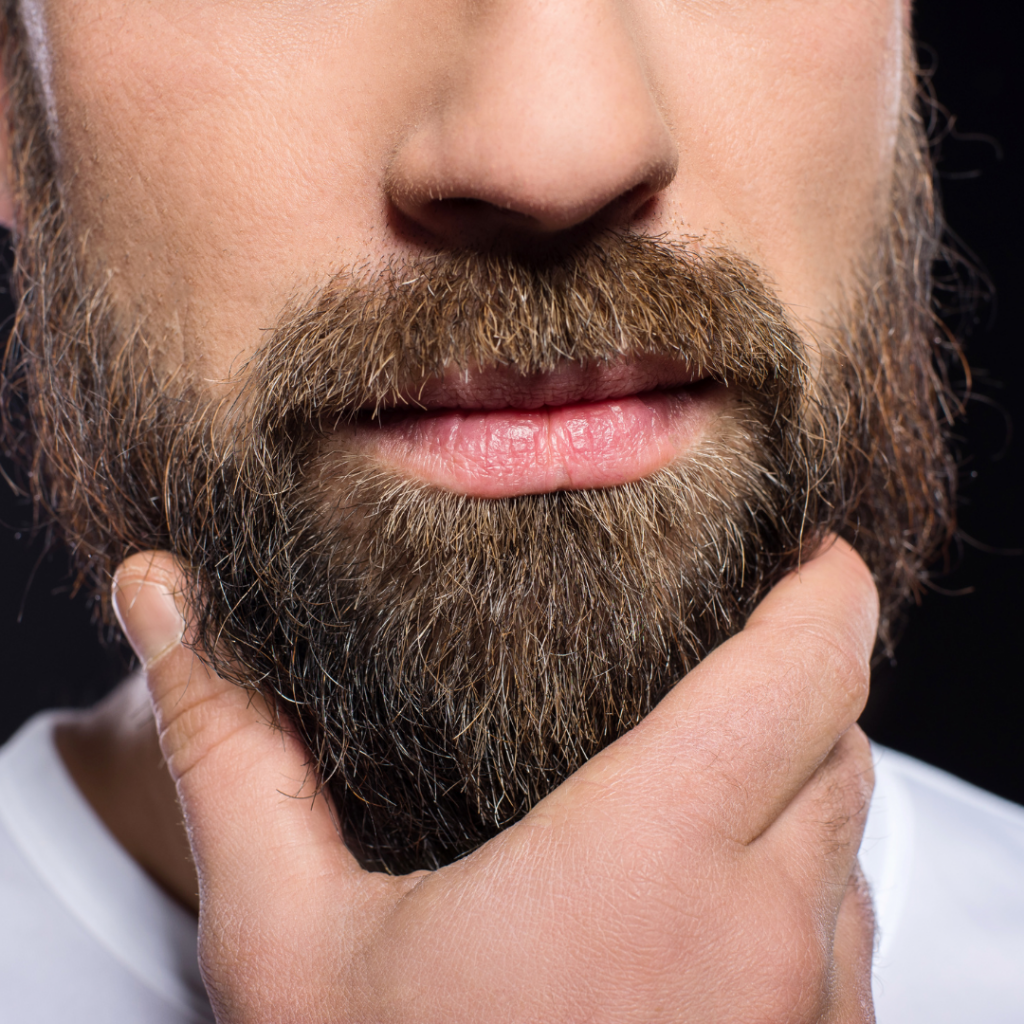 Barbe homme : le guide pour les barbus